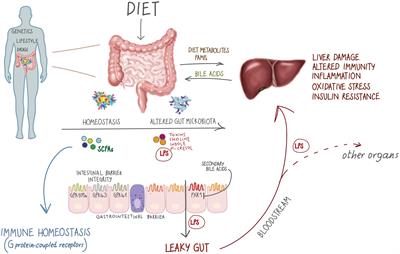 Dysbiosis, Host Metabolism, and Non-communicable Diseases: Trialogue in the Inborn Errors of Metabolism